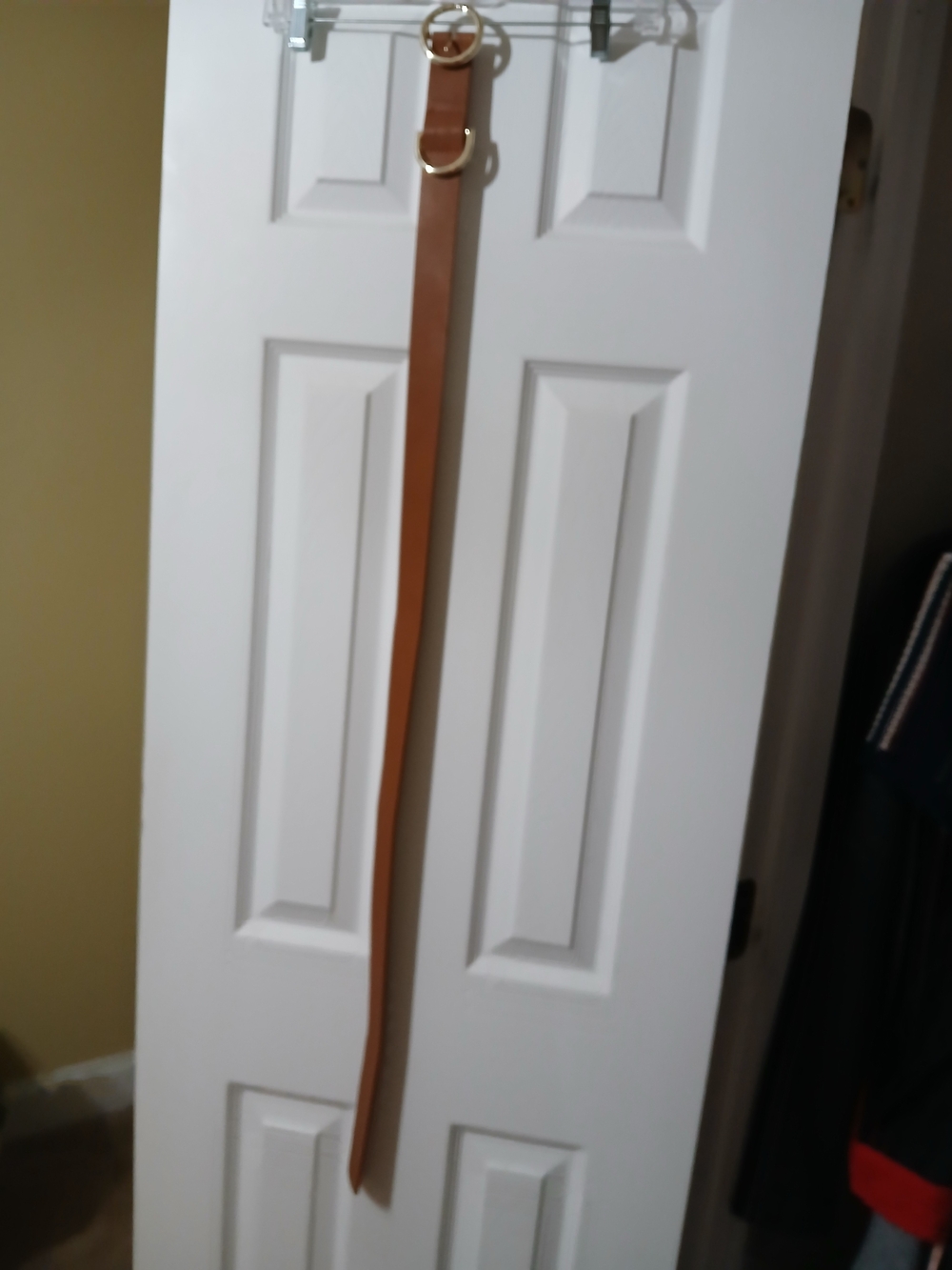Madden Girl Brown Leather Belt with Gold Rings - Picture 7 of 9